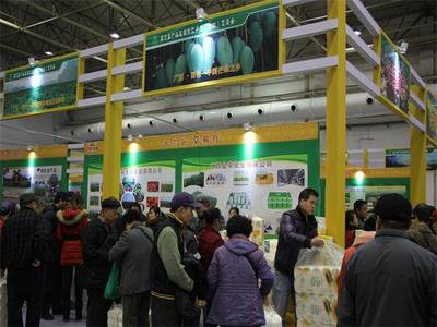 德合鑫農(nóng)副產(chǎn)品展銷會(huì)“廣西行”啟動(dòng)，首站落戶百色，助力農(nóng)副產(chǎn)品走向全國(guó)