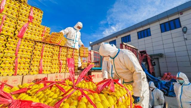 佛山南海建成消費幫扶黔貨入粵集散地，助力優質農產品流通