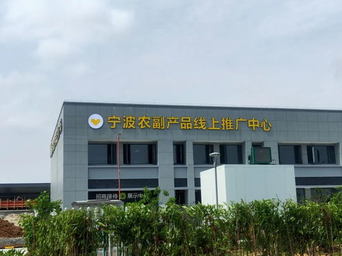 寧波農副產品物流中心一期試運營開啟 農產品流通新樞紐，便捷交通指南助您暢行